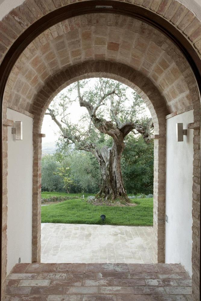 Maison d'hôtes Poggio Piglia à Chiusi Extérieur photo